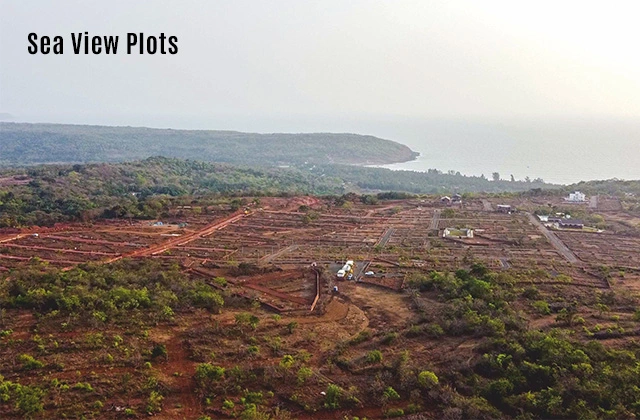 Dapoli Site